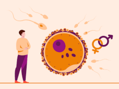 Understanding Male Infertility and Its Causes