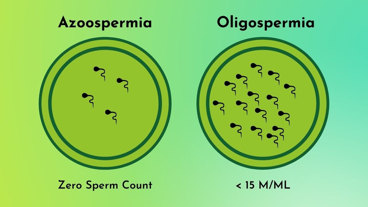 Difference between Azoospermia & Oligospermia | Australian Concept