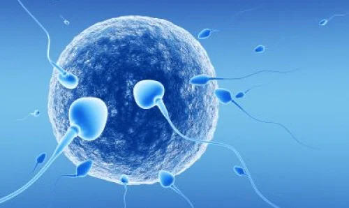 Myths About Infertility | Australian Concept