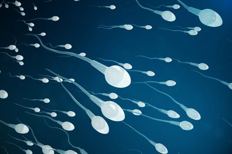 sperm image during ivf