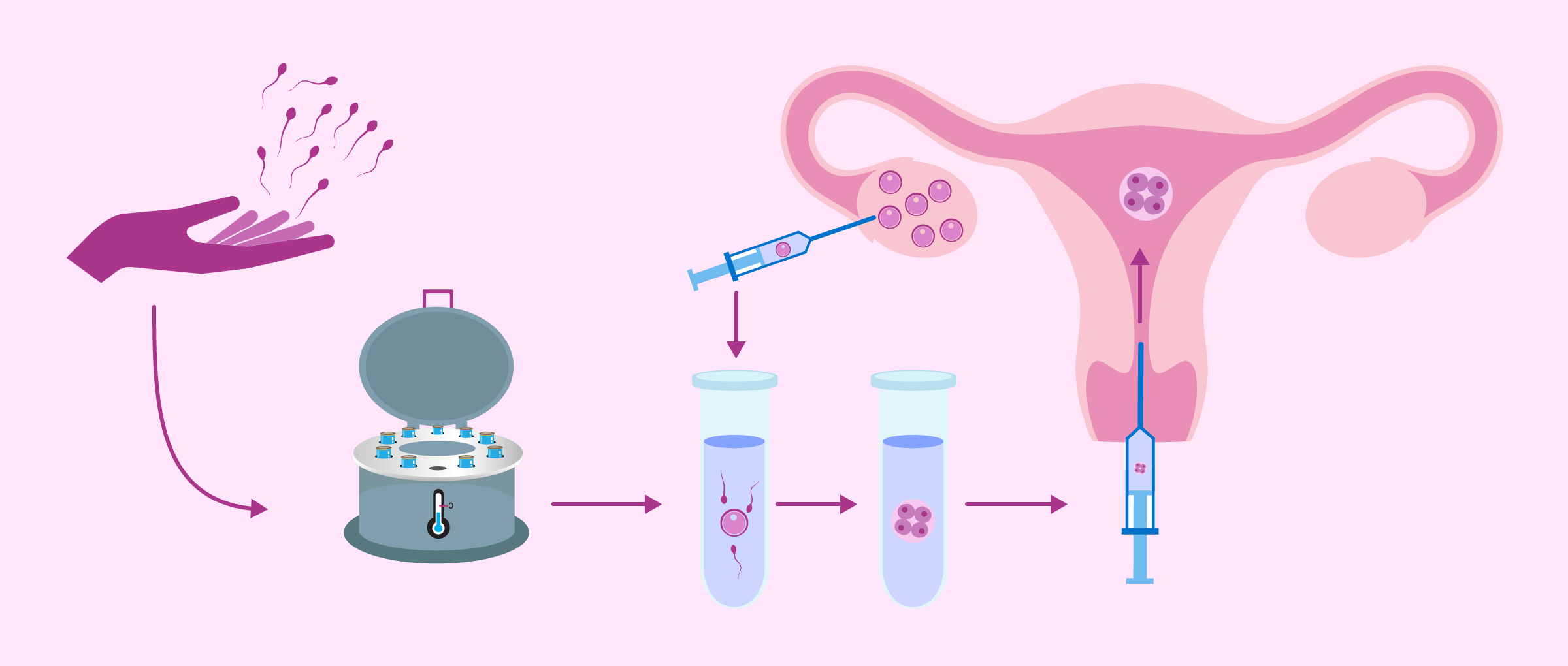 test tube baby process png