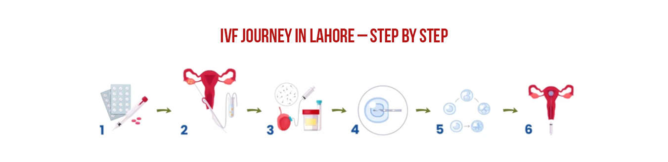 Step-by-Step IVF Process in Lahore: