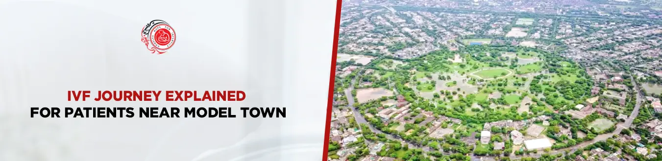 Step-by-Step IVF Journey in Model Town Clinics