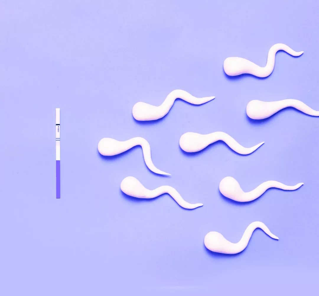 Sperm Aneuploidy Test (SAT)